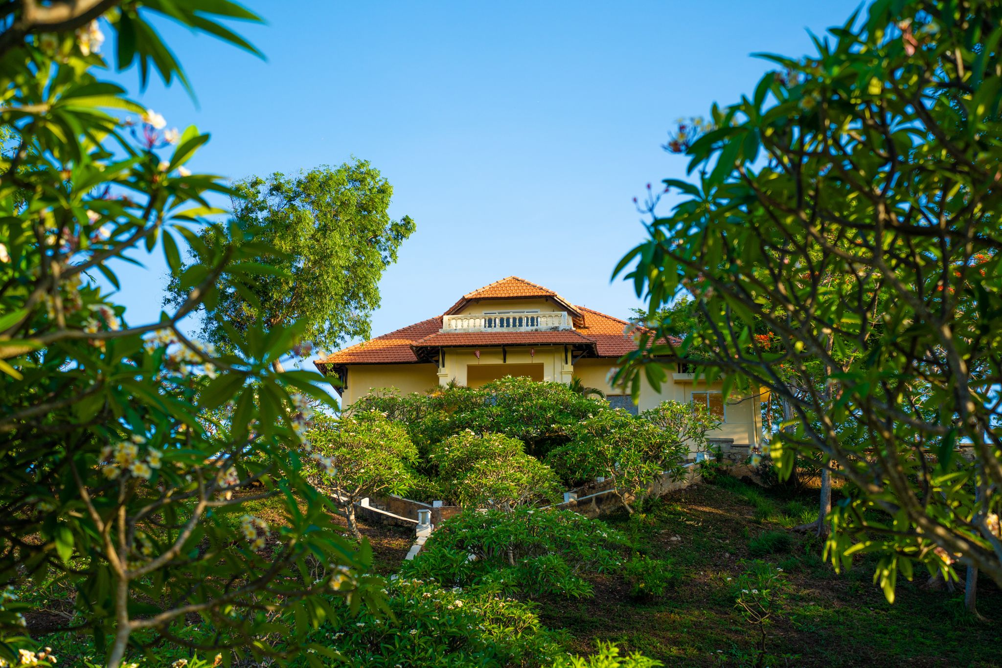 Outdoor view