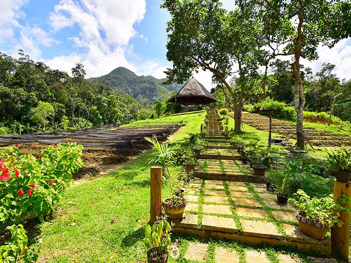Outdoor view