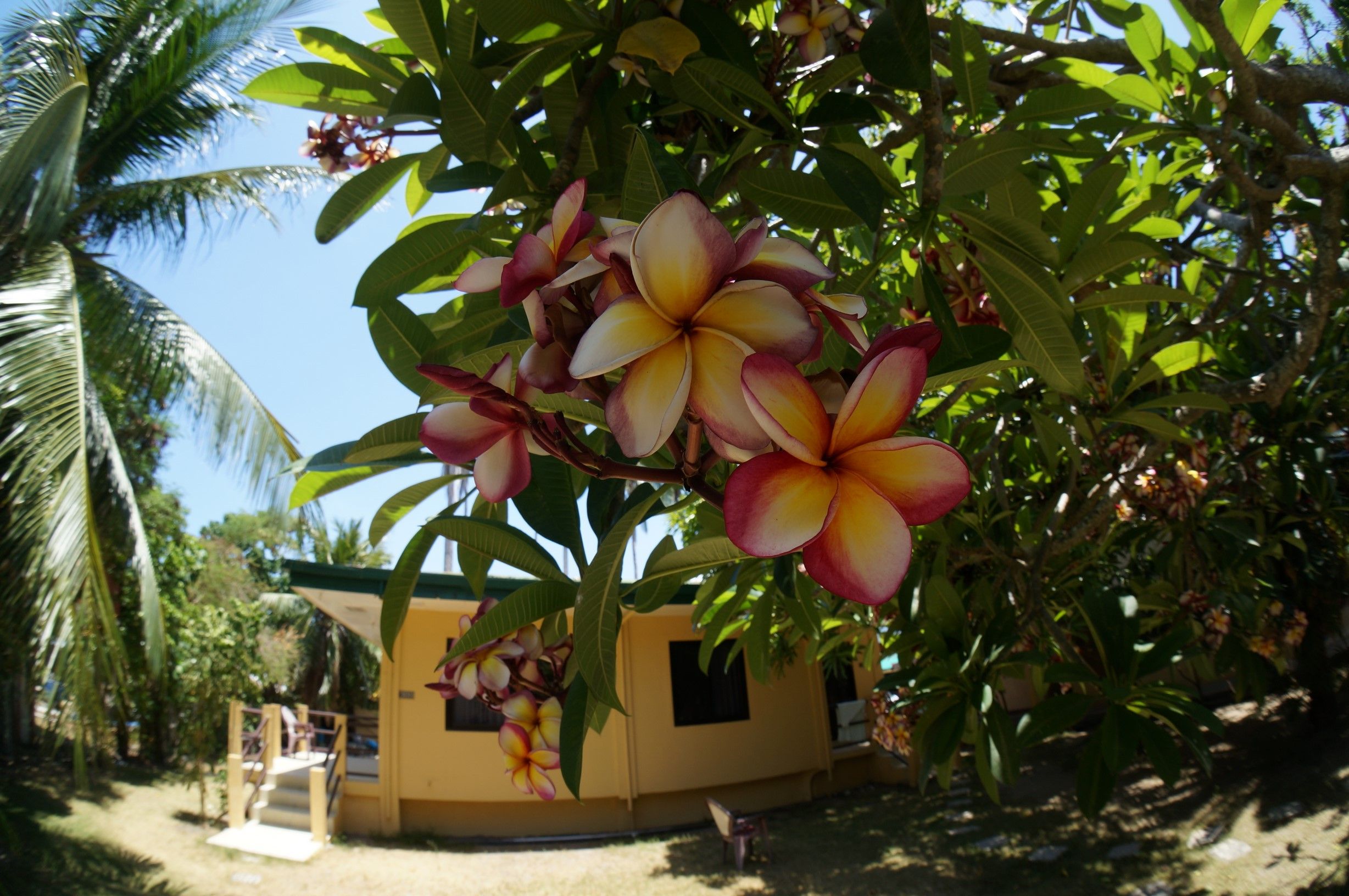 Outdoor view