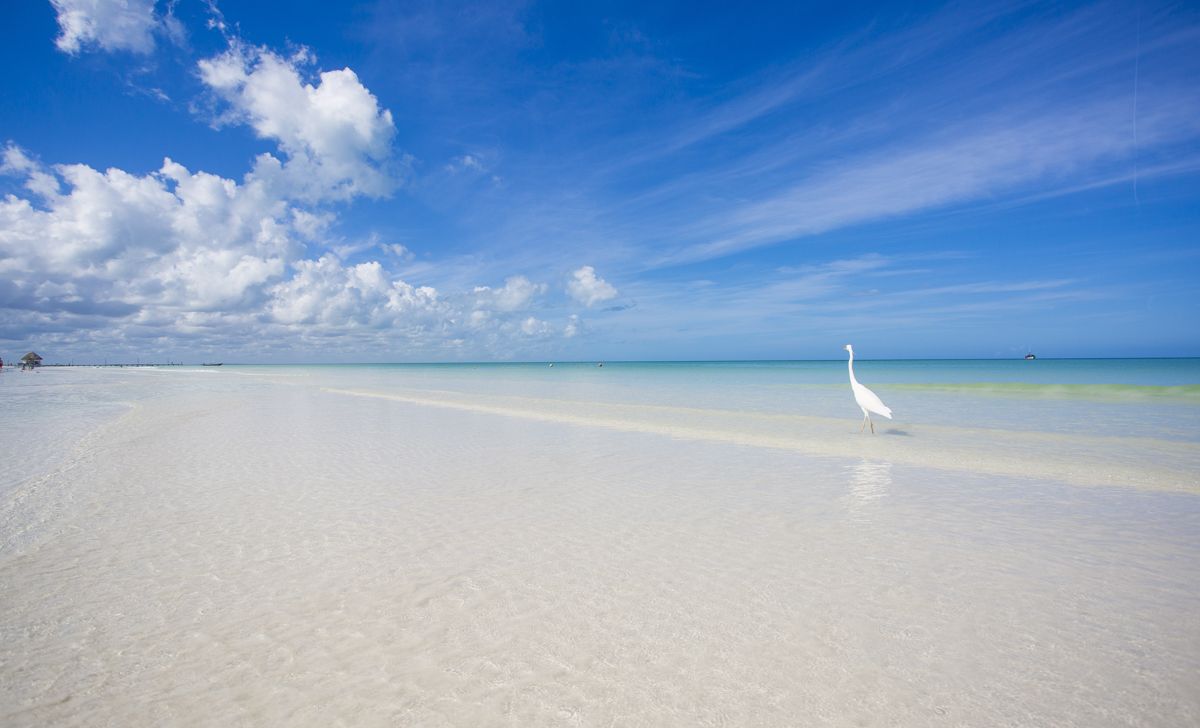 Beach