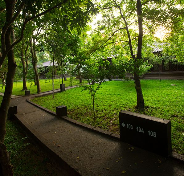 Outdoor view